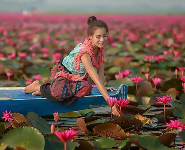 Hồ hoa súng Nong Han nổi tiếng là một điểm đến tuyệt vời để tận hưởng cái đẹp và sự tươi trẻ của loài hoa súng. Với những hàng cây lớn chứa đầy những cánh hoa xinh đẹp, một lần đến đây bạn chắc chắn sẽ không muốn rời đi.