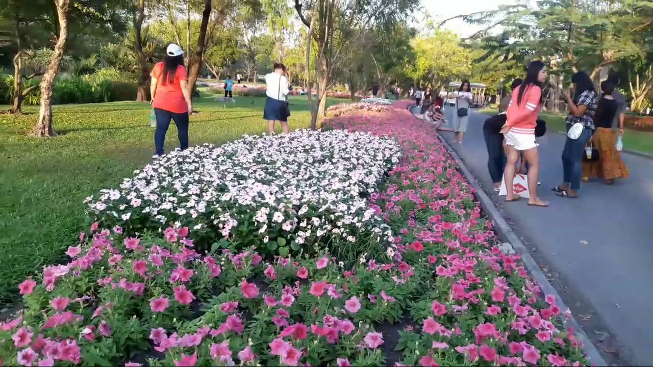 Suan Luang Rama IX Park 4