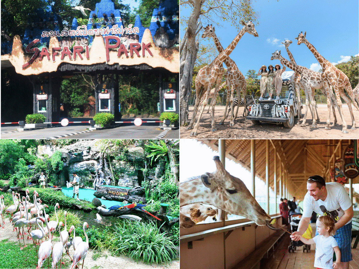 Safari Park 2