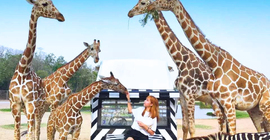 Du lịch Thái Lan: Khám phá Safari World - Vườn...